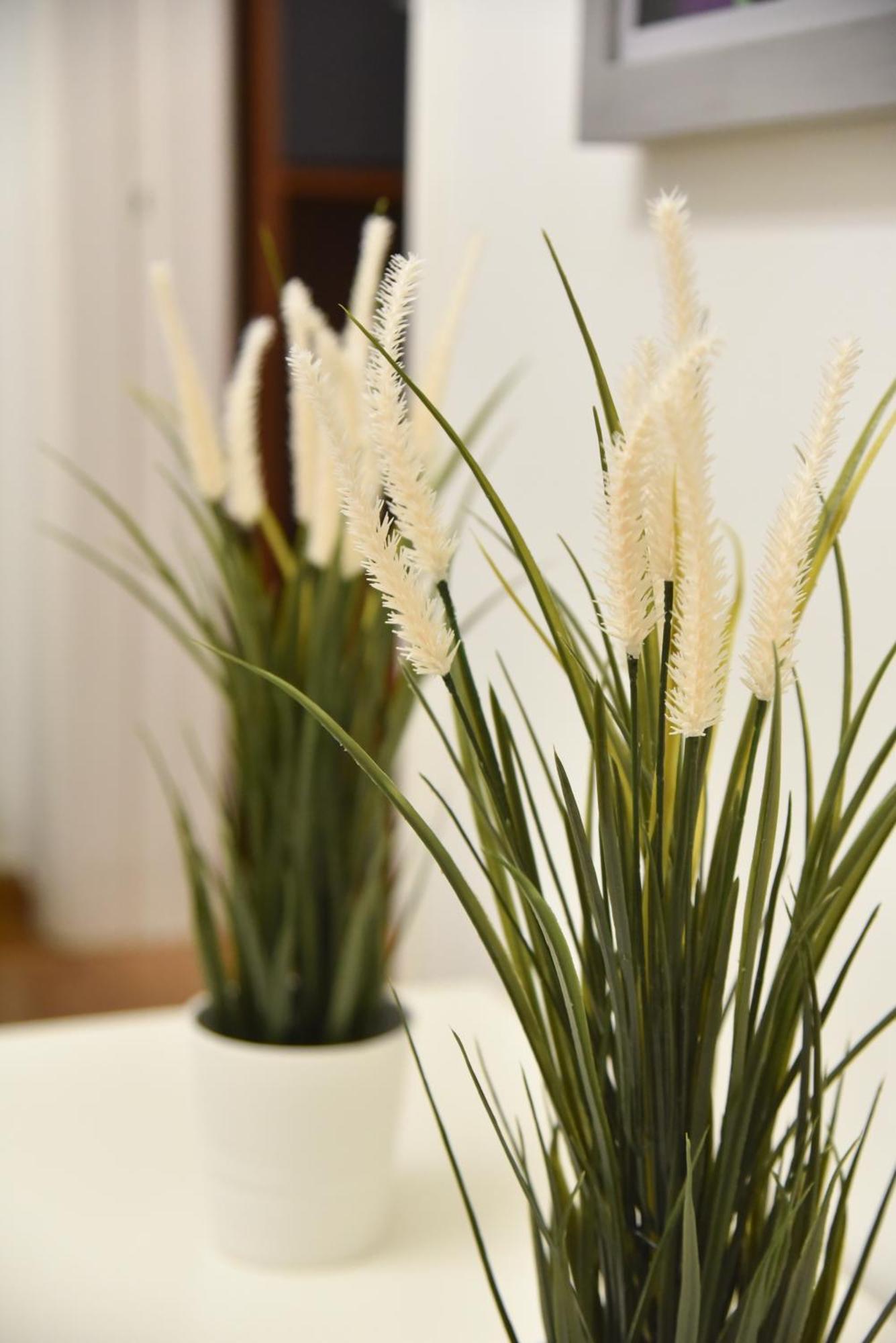 Perfect Athens Apartment Ngoại thất bức ảnh